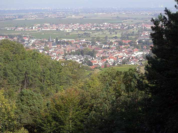 Pflzerwald, Deidesheim