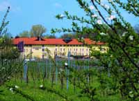 Steigenberger Hotel Deidesheim