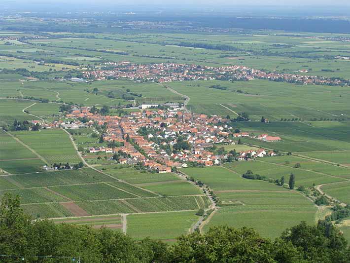 Rhodt und Edesheim an der Weinstraße