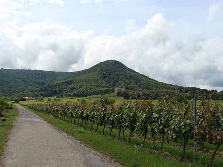 Burgruine Rietburg