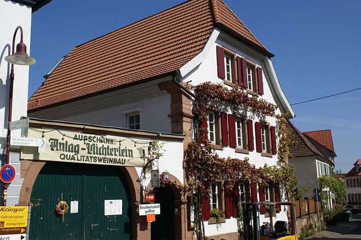 Theresienstrasse in Rhodt unter Rietburg