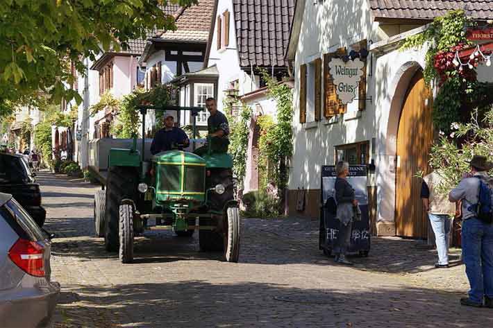 Theresienstrasse in Rhodt unter Rietburg