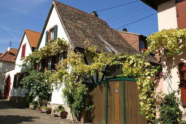 Theresienstrasse in Rhodt unter Rietburg